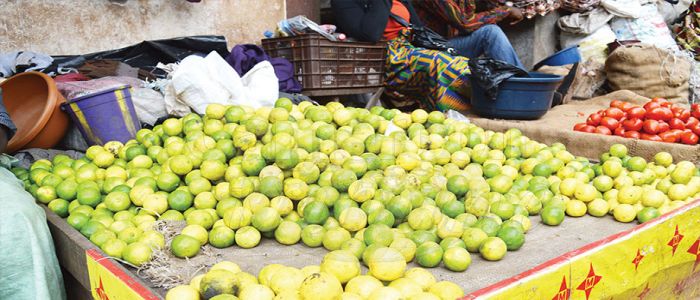 Le citron moins cher Le citron moins cher