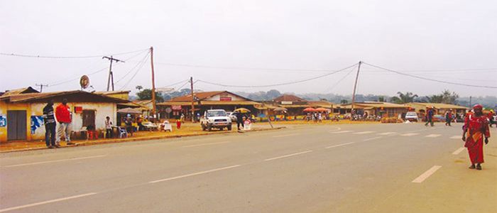 Djoum: de réels atouts