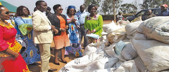 3800 sacs d’engrais distribués à Bandjoun 3800 sacs d’engrais distribués à Bandjoun