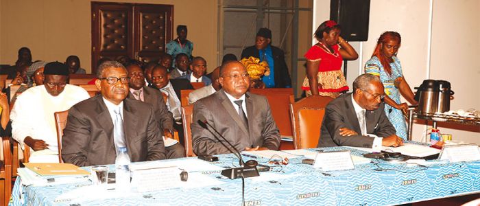 Investissement privé: un pont entre la Corée et le Cameroun Investissement privé: un pont entre la Corée et le Cameroun