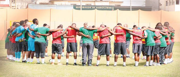 Lions indomptables: la grande rentrée Lions indomptables: la grande rentrée