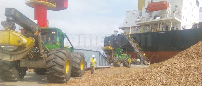 Port autonome de Kribi: premier chargement réussi