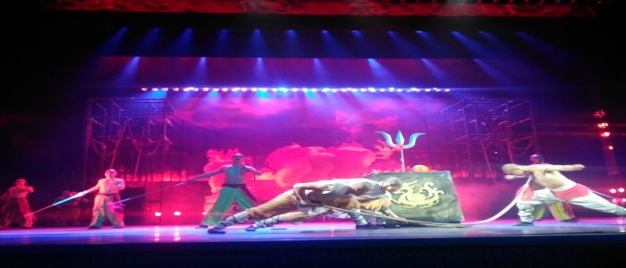 Kungfu: A Sport That Has Since Grown Beyond Martial Arts 